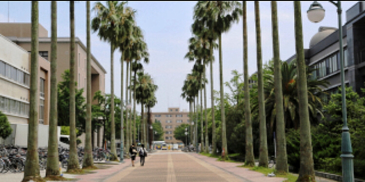 ファイル:鹿児島大学.jpeg