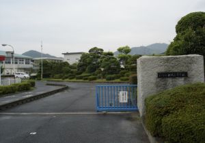 C74D77DA-2CD4-4847-AB44-8A32619022A1.jpeg