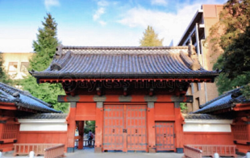 ファイル:8C1E1416-C0A2-4F70-BB41-2D2B1ED472E2.jpeg